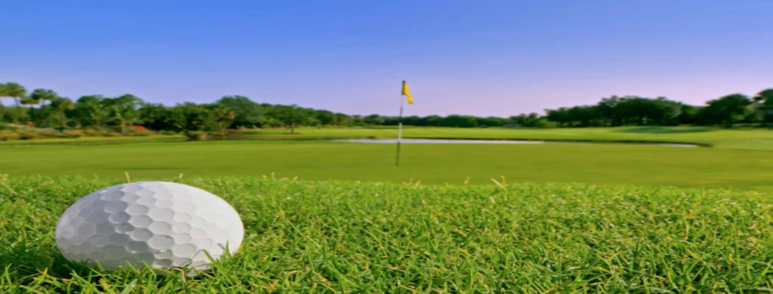 Image for Golfing Greens